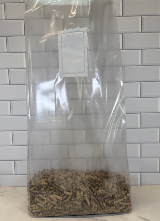 Large Mushroom Grow Bag XLS Equivalent Size With Substrate