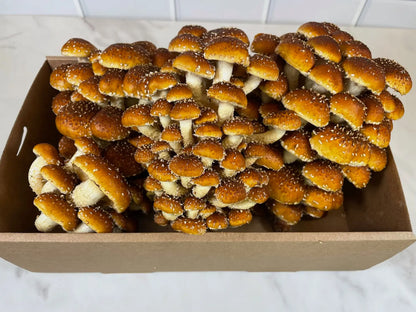 Large Box Of Fresh Chestnut Mushrooms