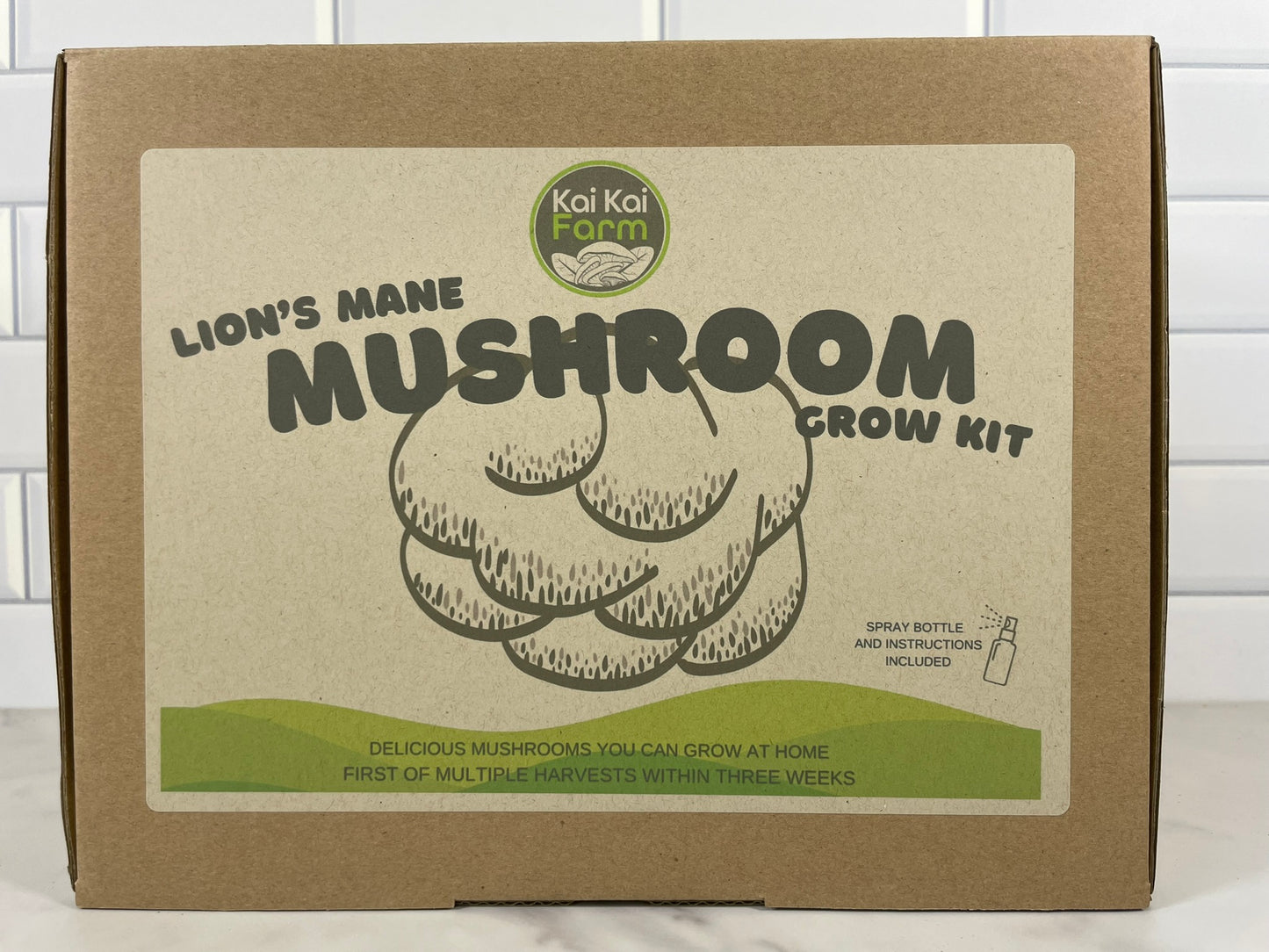 Lion's Mane Mushroom Kit - Kai Kai Farm