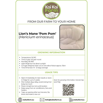 Lion's Mane Mushroom 'Pom Pom' - 2.2KG Ready To Fruit Block