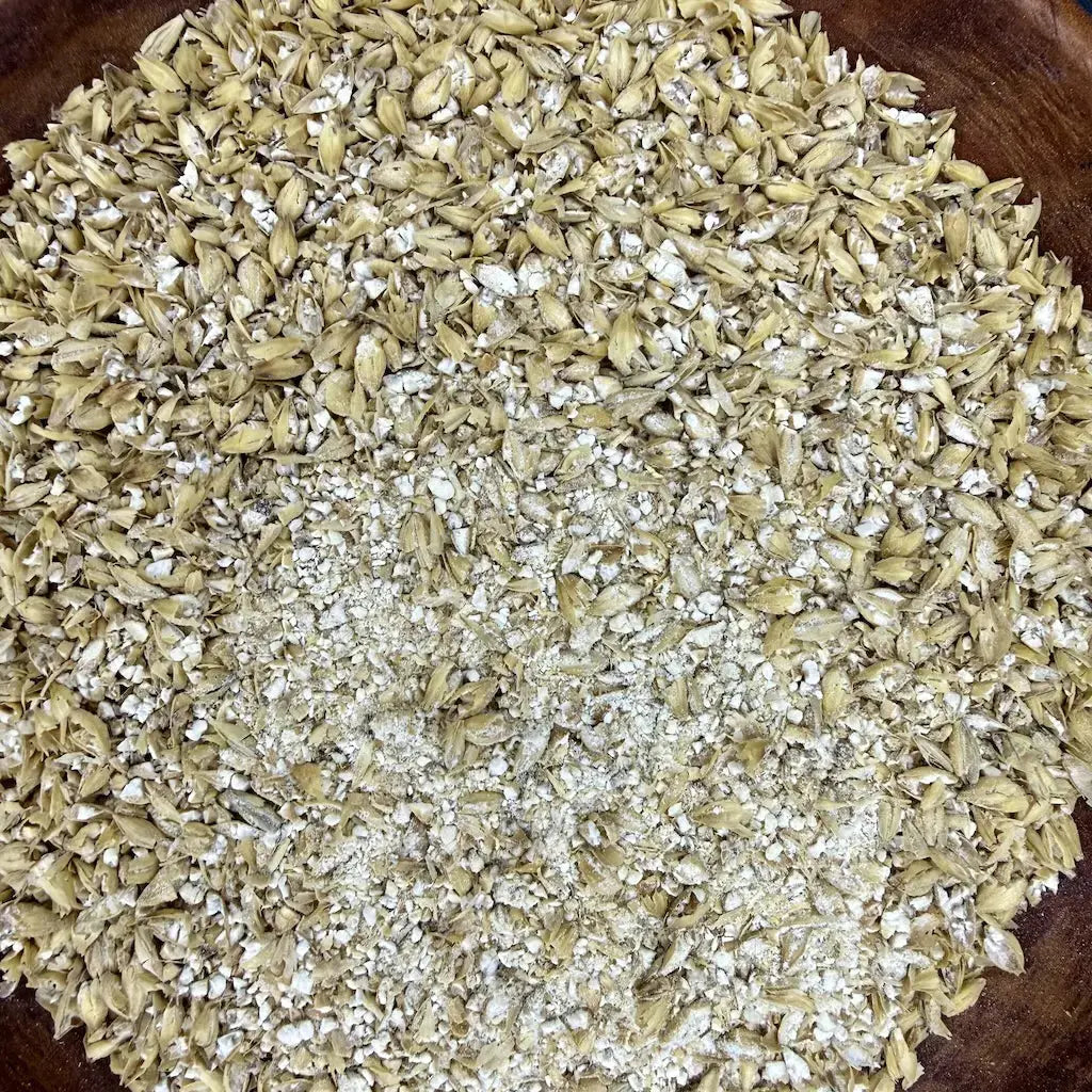 Malted Barley – The Enzymatic Engine for Living Soil Kai Kai Farm