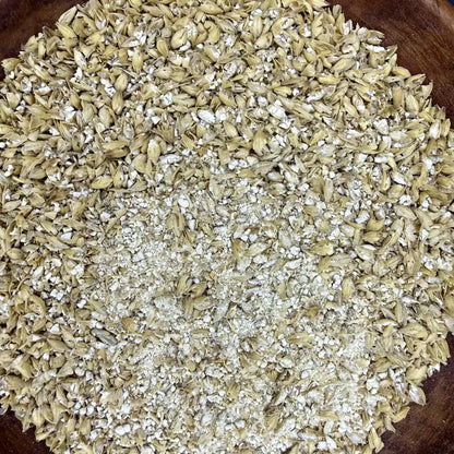 Malted Barley – The Enzymatic Engine for Living Soil Kai Kai Farm