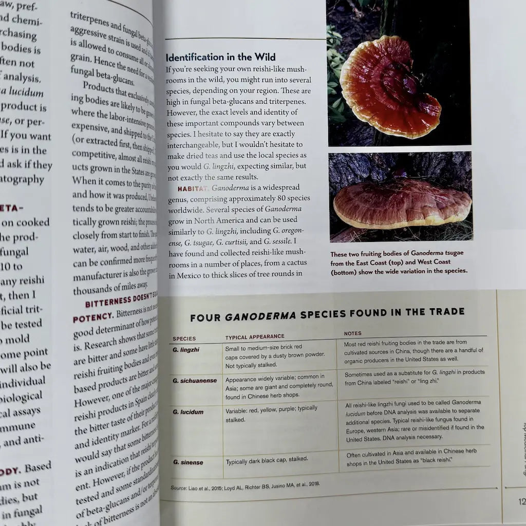Example Inside Page Of Christopher Hobb's Medicinal Mushrooms The Essential Guide