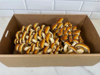 A medium size box of fresh Chestnut mushrooms