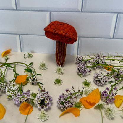 Plush mushroom toy on a surface with flowers and leaves