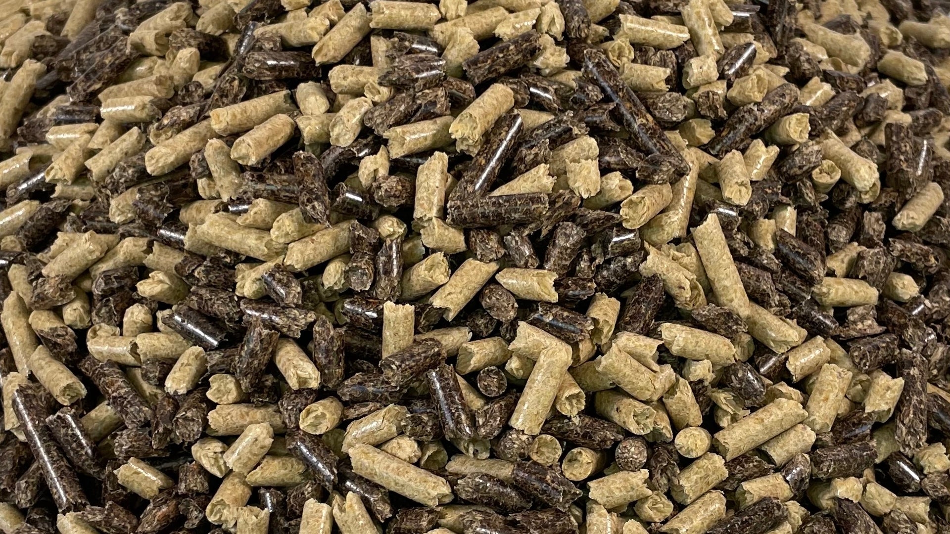 Kai Kai Farm's Mushroom Cultivation Supplies Collection