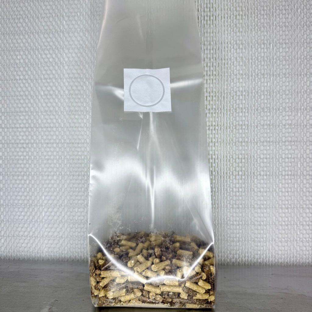 All In One Mushroom Substrate Fruiting Bags - 1.4KG Finish Weight Kai Kai Farm