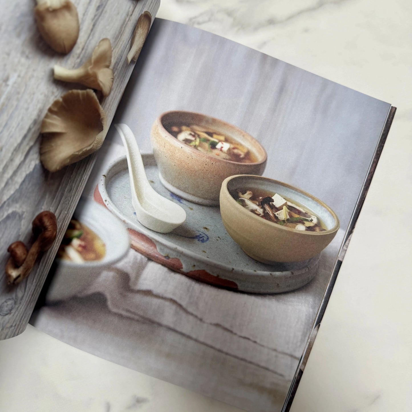 Open book showing a photograph of two bowls of soup with a spoon on a textured surface.