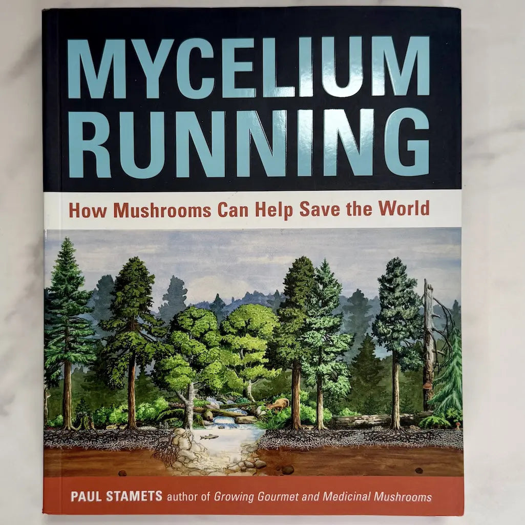 Mycelium Running
