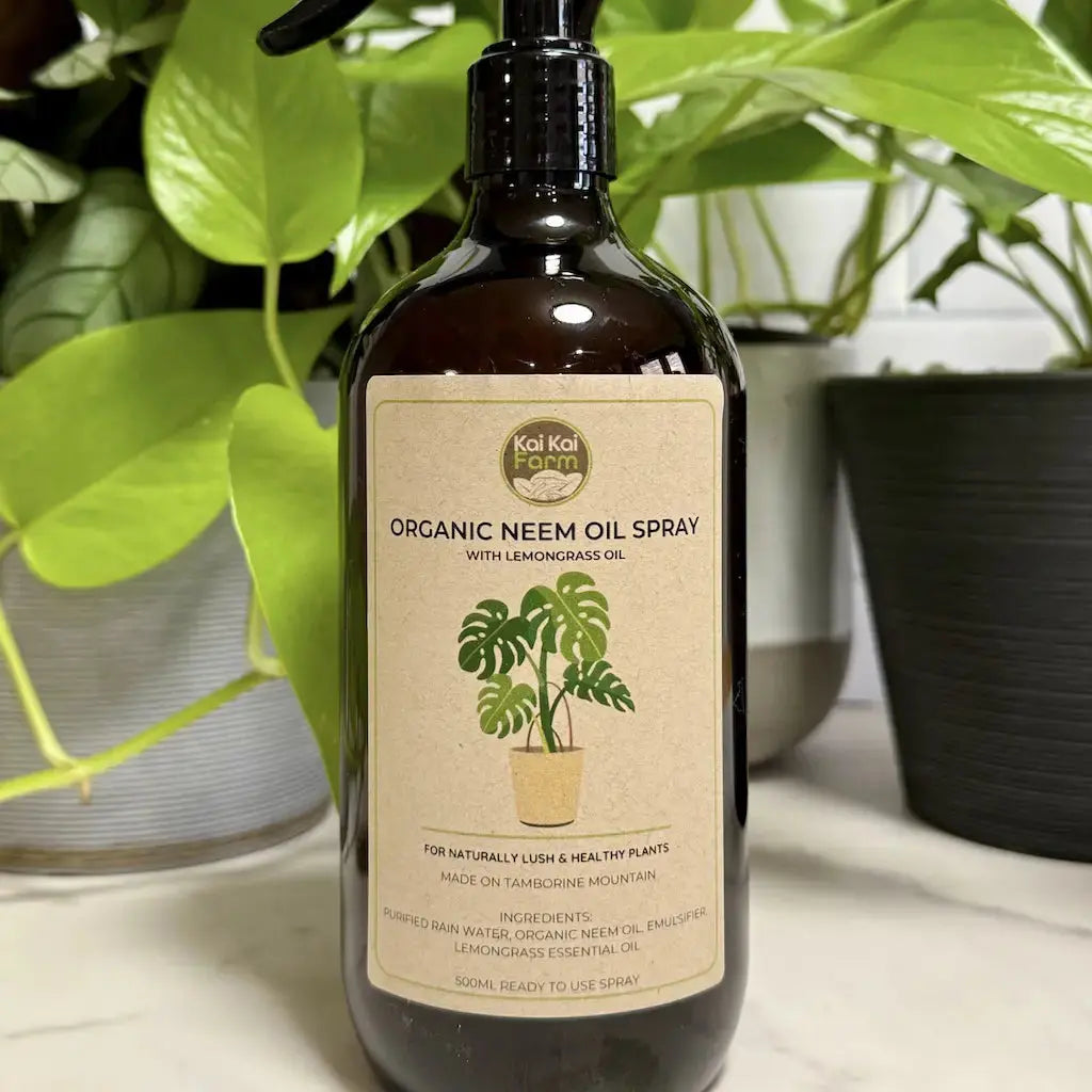 Indoor Plant Care Kit Kai Kai Farm