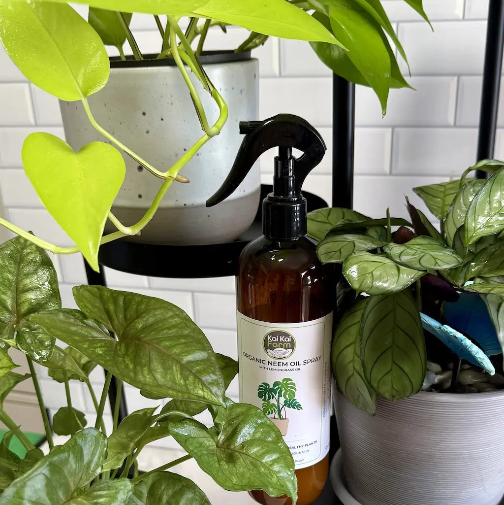 Bottle of organic neem oil spray surrounded by potted plants on a white tiled wall background