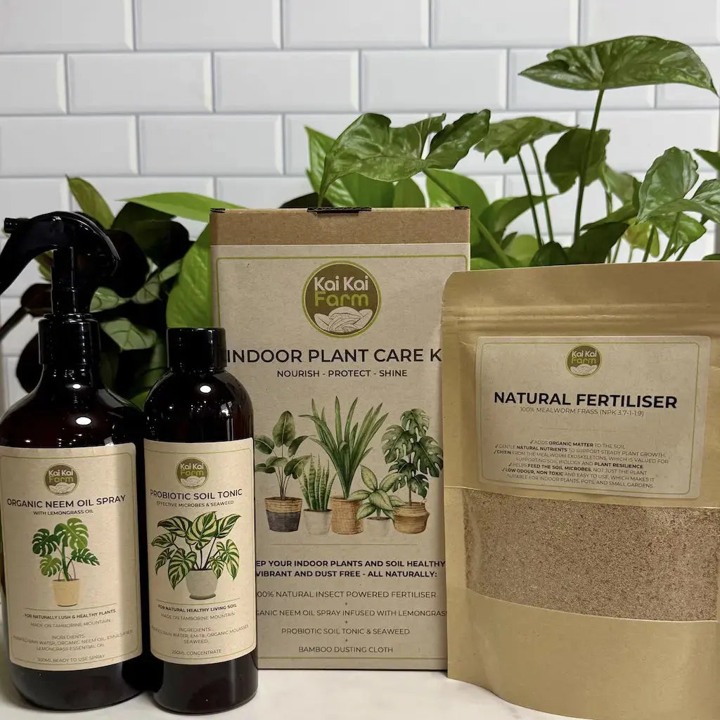 Indoor Plant Care kit featuring enhancing neem oil and organic soil tonic with healthy indoor plants in the background.