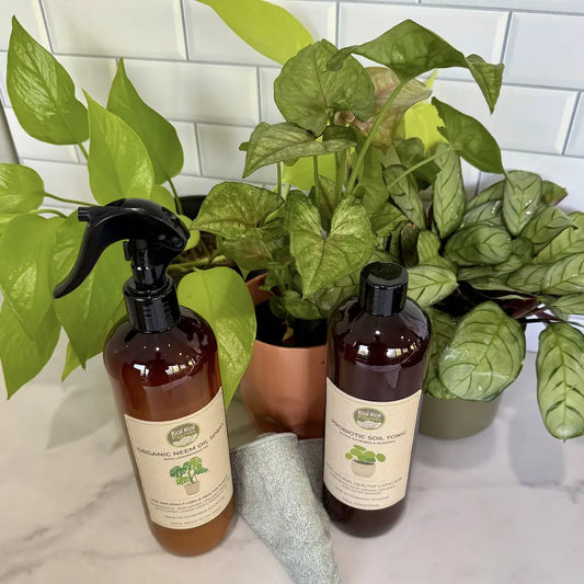 Indoor Plant Care kit featuring enhancing neem oil and organic soil tonic with healthy indoor plants in the background.