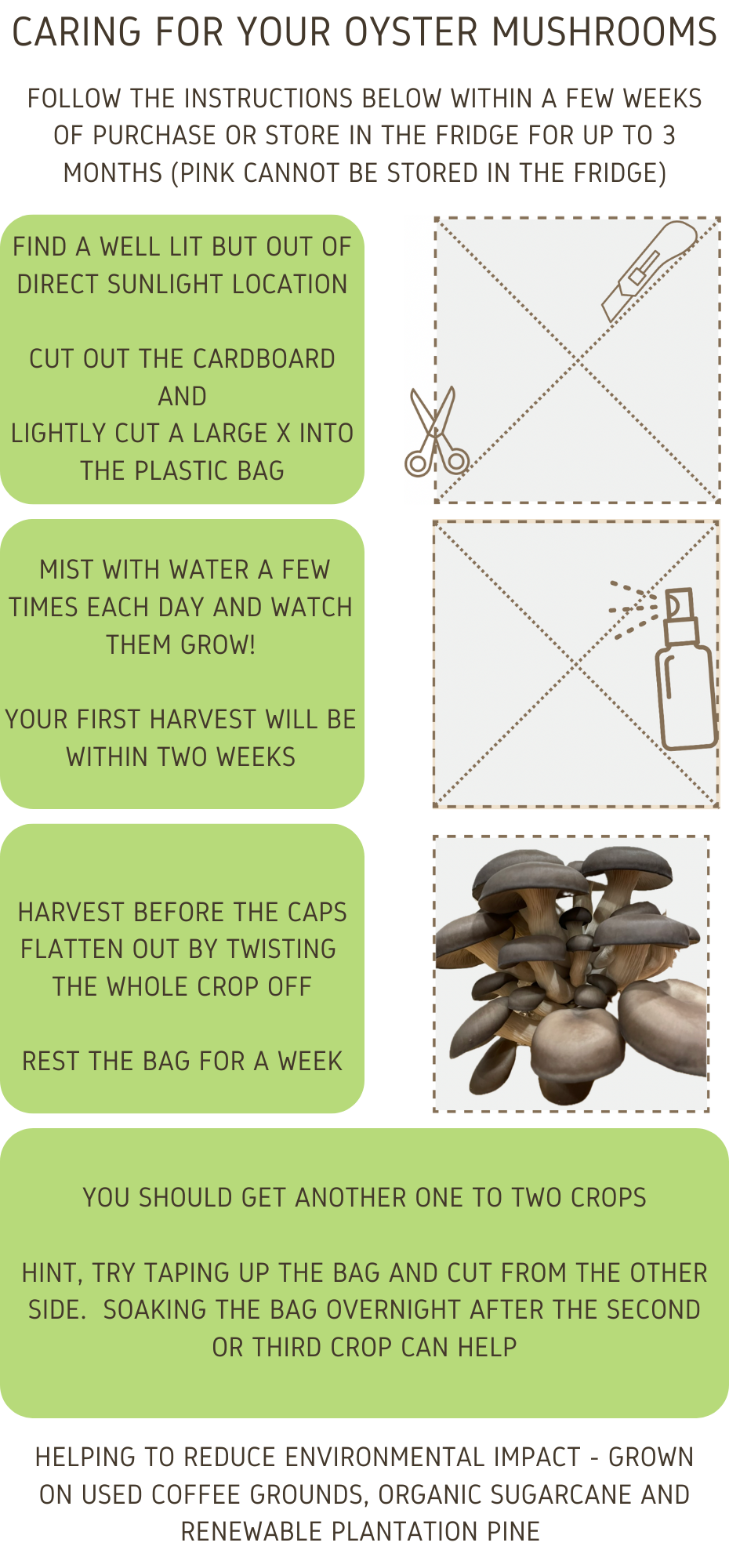 Instructions for starting a pink oyster mushroom kit