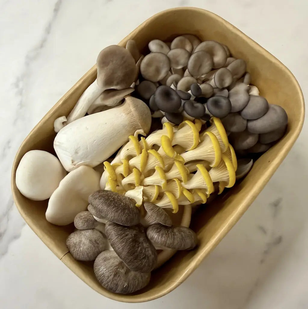 Fresh No Spray Oyster Mushroom Medley