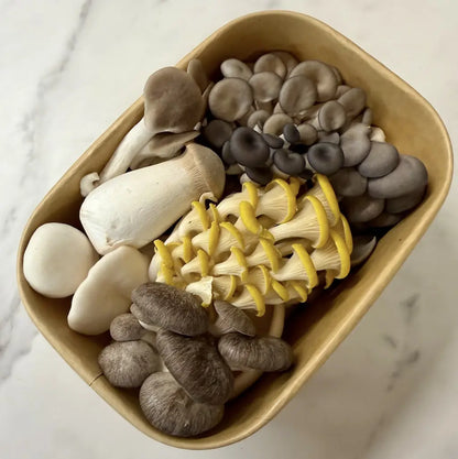 Fresh No Spray Oyster Mushroom Medley