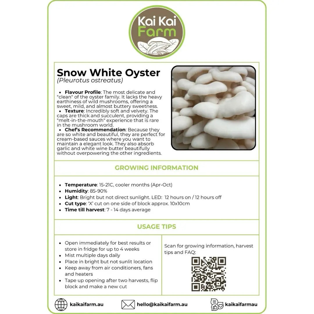 Information Sticker For Oyster Snow White Ready To Fruit Mushroom Block