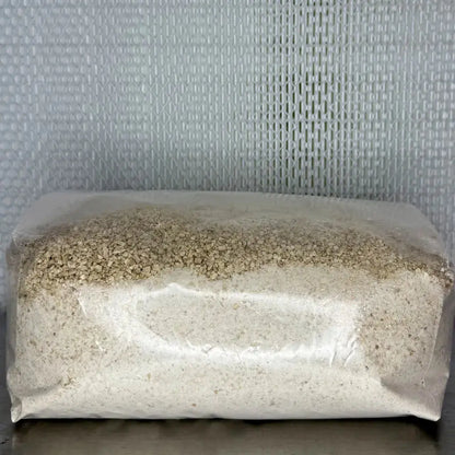 All In One Mushroom Fruiting Substrate Grow Bags - 2.2KG Finish Weight Kai Kai Farm