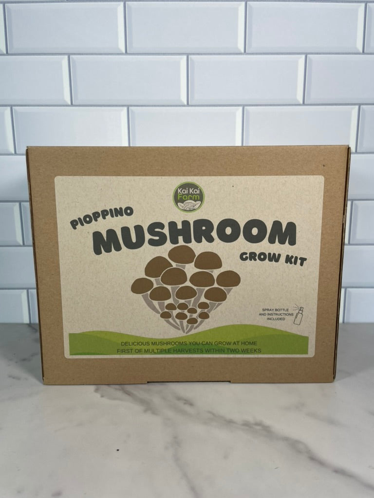 Pioppino Mushroom Kit - Kai Kai Farm