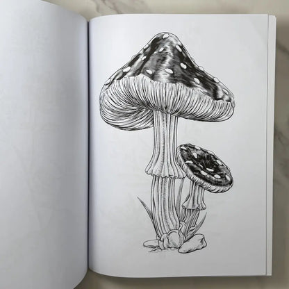 Plants, Herbs & Mushrooms Coloring Book