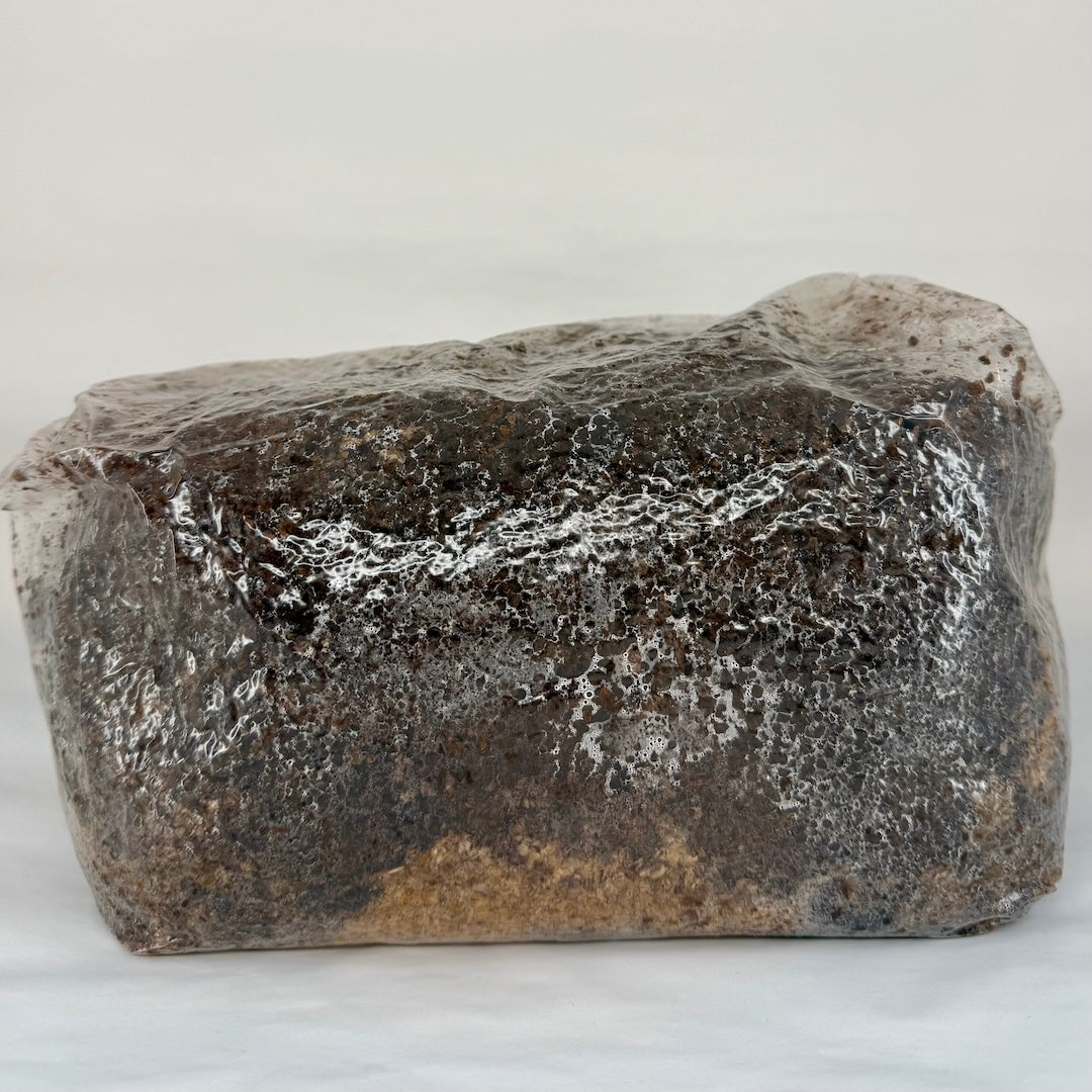 Pre-Sterilised Mushroom Substrate Bags