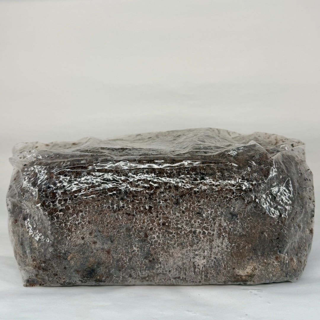 Pre-Sterilised Mushroom Substrate Bags