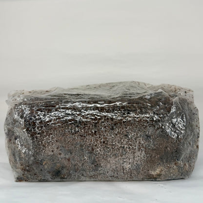 Pre-Sterilised Mushroom Substrate Bags