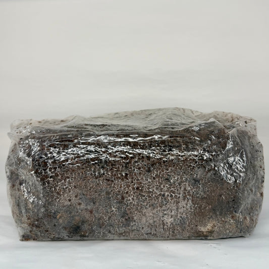 Pre-Sterilised Mushroom Substrate Bags