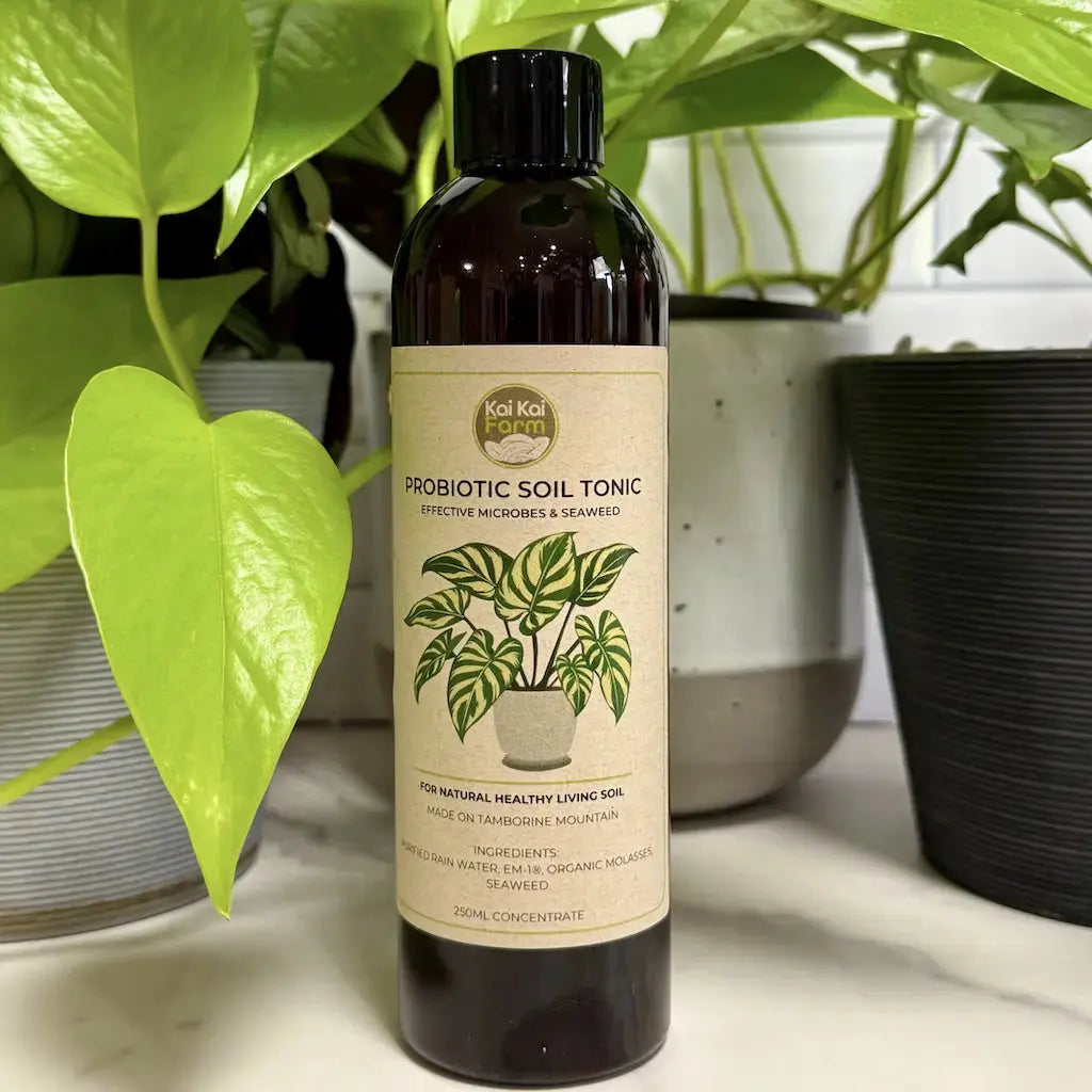 Indoor Plant Care Kit Kai Kai Farm