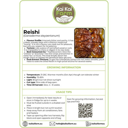 Native Australian Reishi Mushroom - 2.2KG Ready To Fruit Block Kai Kai Farm