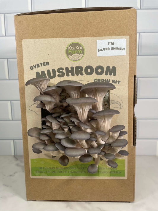 Silver Shimeji Oyster Organic Mushroom Kit Fruiting
