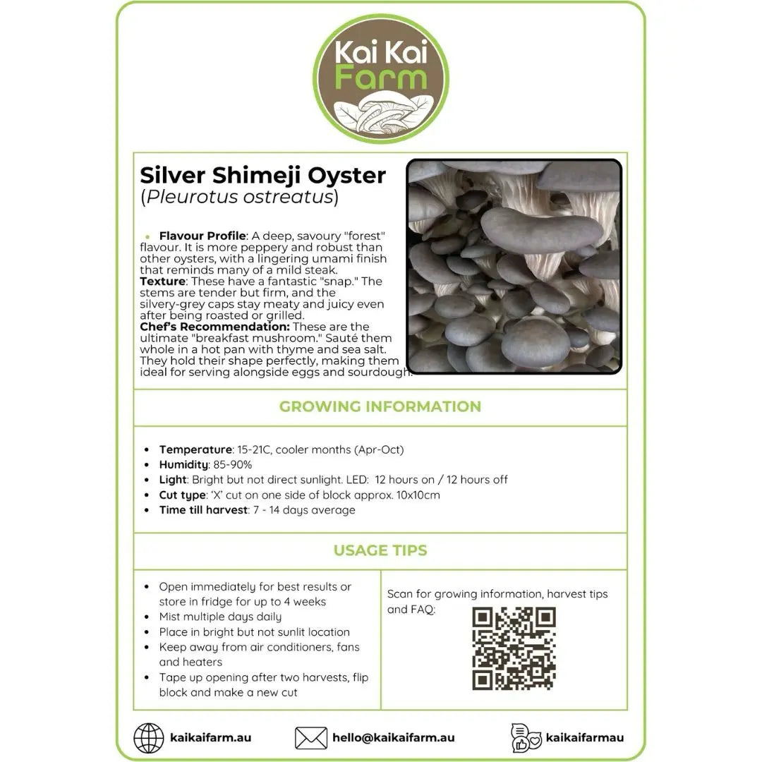 Silver Shimeji Oyster Mushroom Ready To Fruit Block Label
