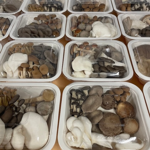 Range of small gourmet mushroom medley boxes