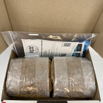 A cardboard shipping box containing two clear sterilised grain spawn bags and a printed packet containing gloves and IPA wipes.