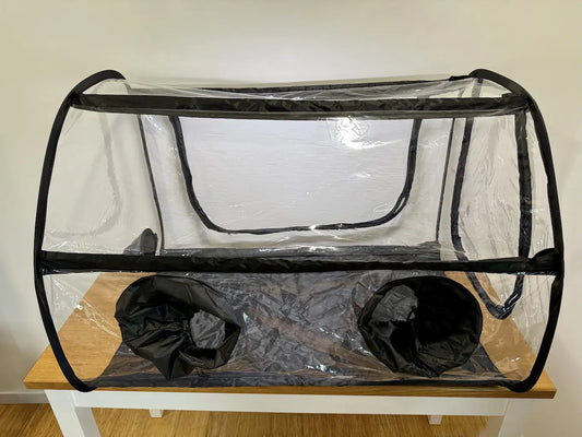 Illuminated Large Still Air Box for Mycology Kai Kai Farm