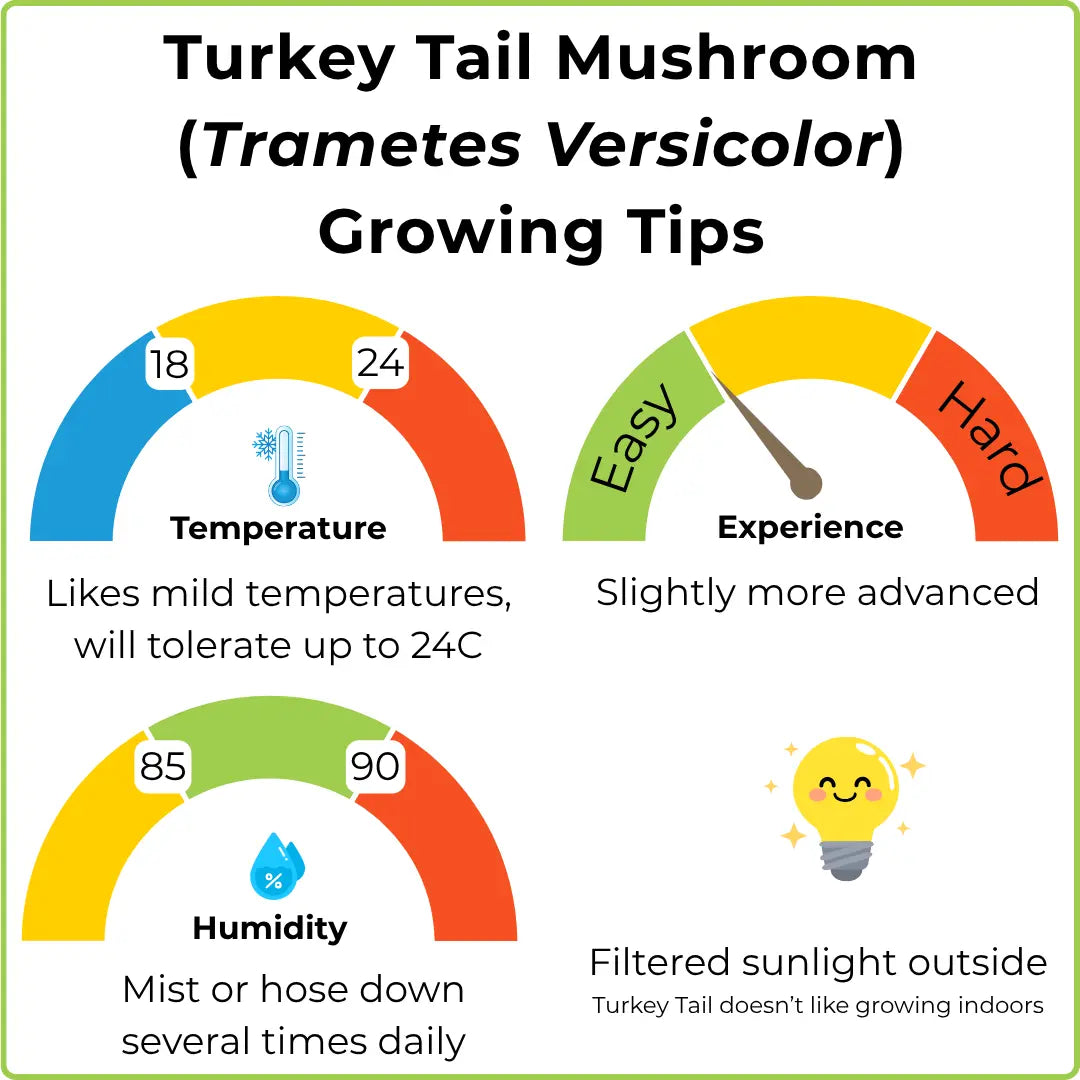 An infographic titled 'Turkey Tail Mushroom (Trametes Versicolor) Growing Tips' with four colored gauge-style panels showing temperature, experience level, humidity, and sunlight guidance.
