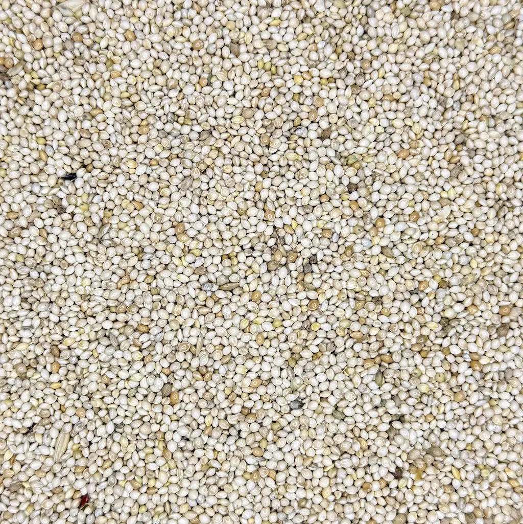 Millet Grain 1KG Kai Kai Farm