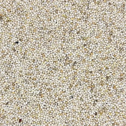 Unhulled Millet Grain for Mushroom Spawn — Bulk Pricing Available Kai Kai Farm