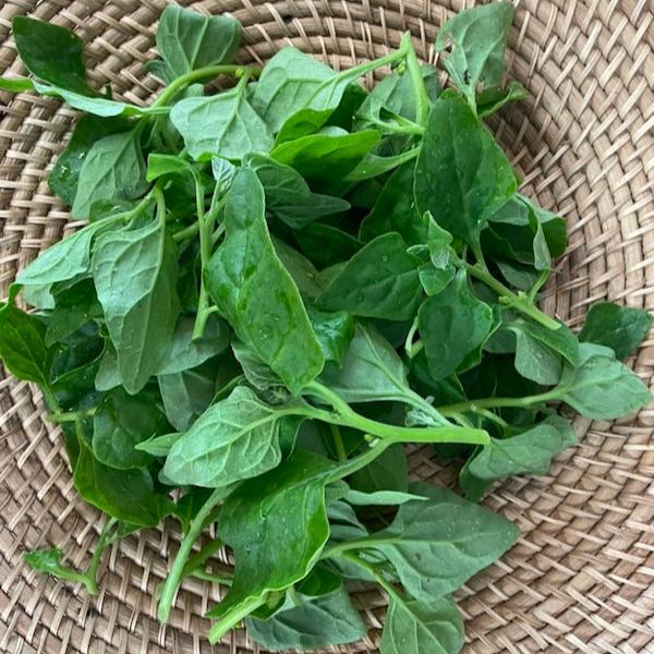 Fresh warrigal greens on a platter