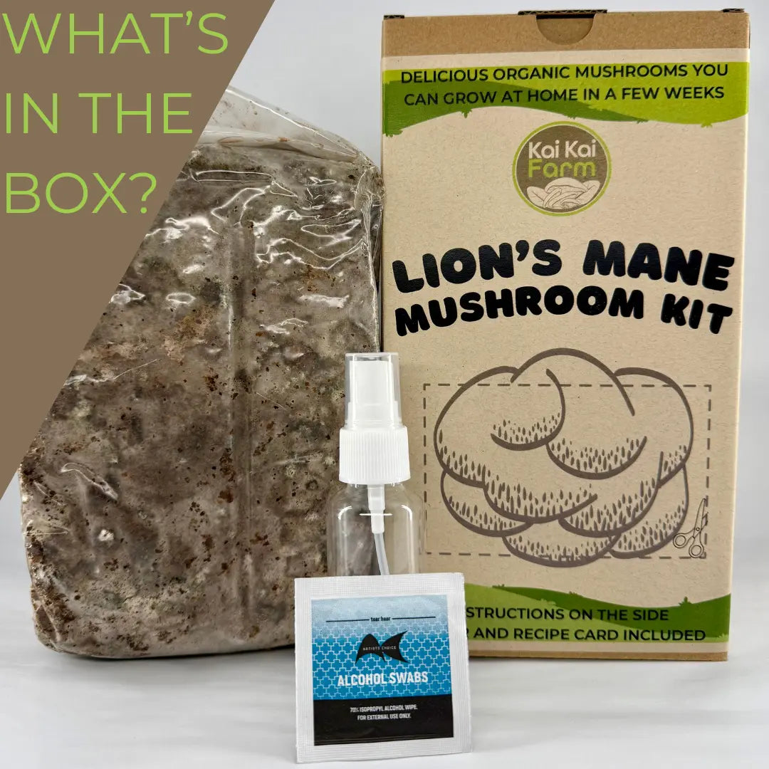 Lion's Mane Mushroom Kit by Kai Kai Farm, featuring a kraft paper box, a large bag of lion's mane mushroom substrate, a small clear bottle with a white spray top, and an alcohol swab packet.