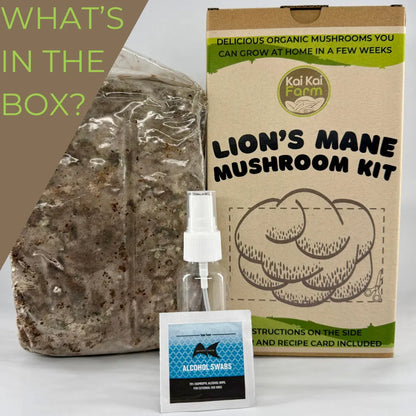 Lion's Mane Mushroom Kit by Kai Kai Farm, featuring a kraft paper box, a large bag of lion's mane mushroom substrate, a small clear bottle with a white spray top, and an alcohol swab packet.