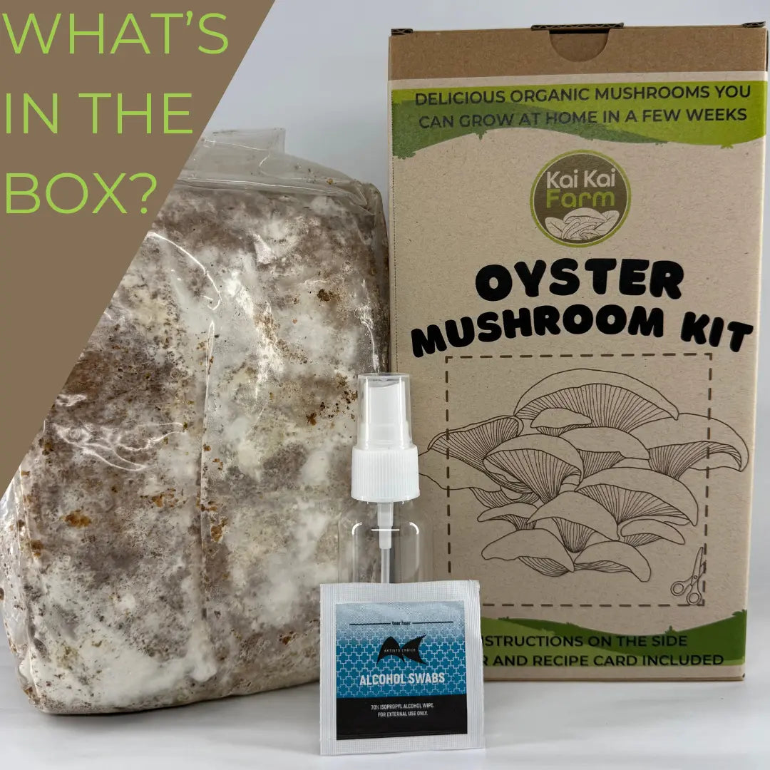 An Organic Oyster Mushroom Kit by Kai Kai Farm, including a large bag of mushroom substrate, a clear spray bottle, a IPA wipe and the product box