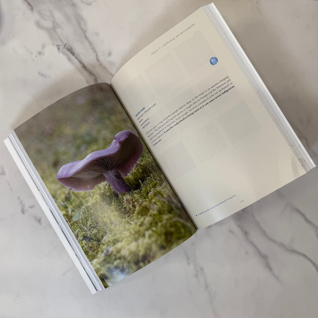 Open book with a purple mushroom on a green background, placed on a marble surface.