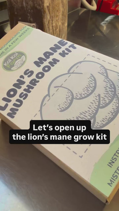 Lion's Mane 'Pom Pom' Organic Mushroom Kit
